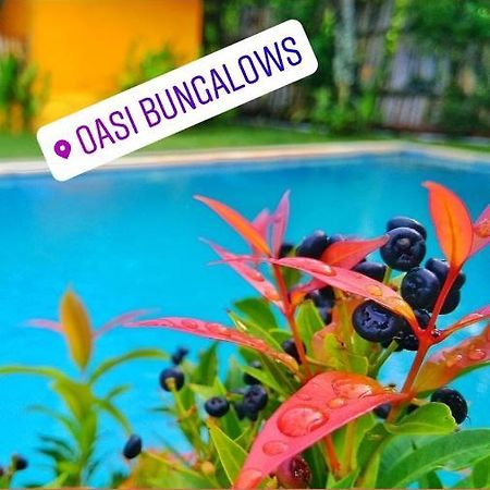 Oasi Bungalows Hotel Gili Air Luaran gambar
