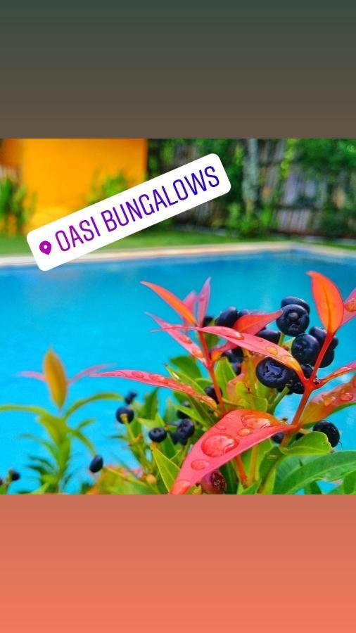 Oasi Bungalows Hotel Gili Air Luaran gambar