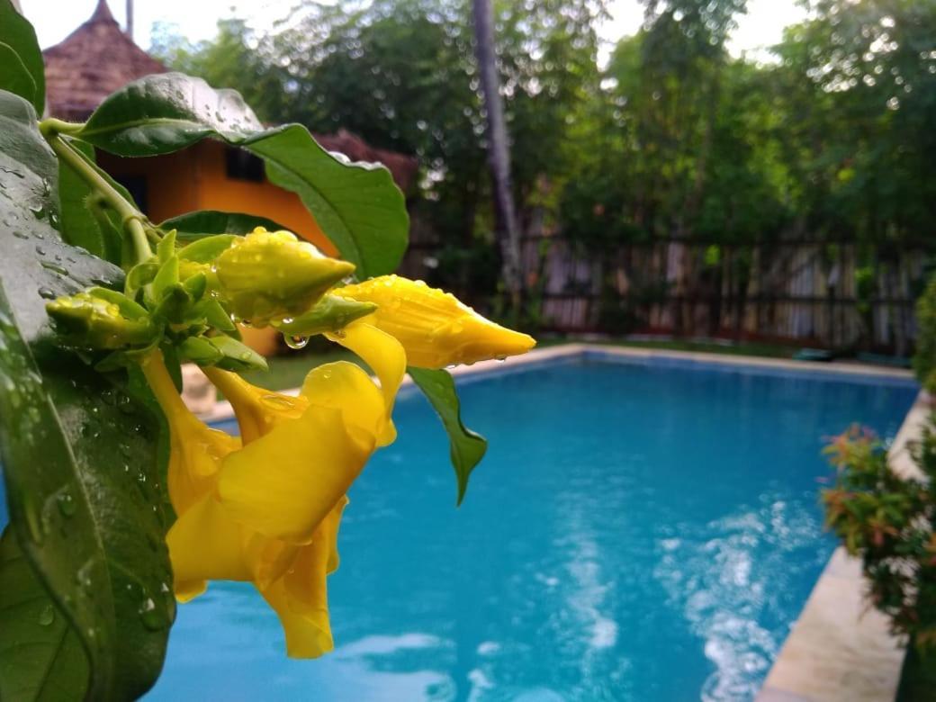 Oasi Bungalows Hotel Gili Air Luaran gambar
